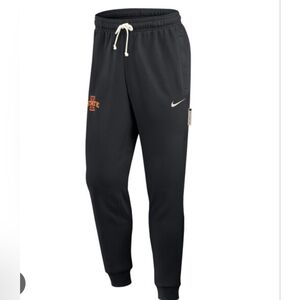 Iowa State Cyclones Nike 2025 Sideline Standard Issue Dri-FIT Taper Sweatpants -